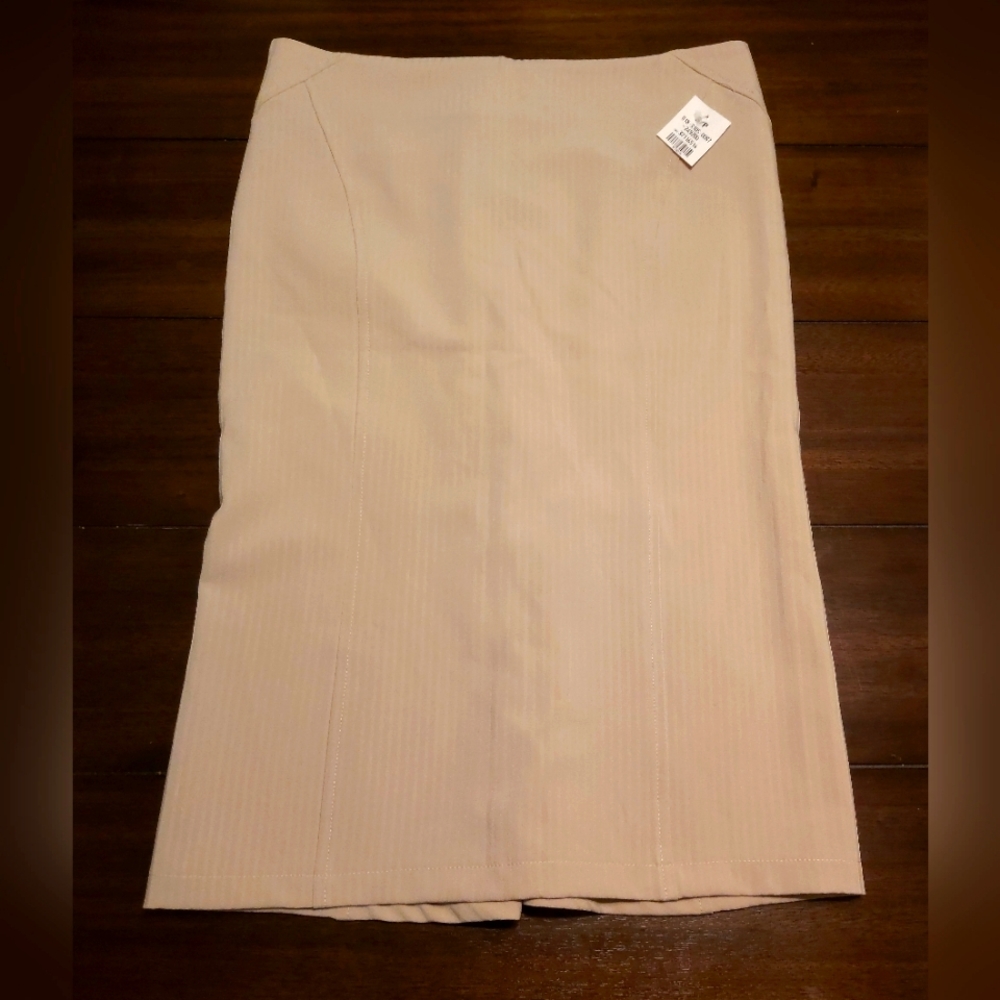 Pencil Skirt